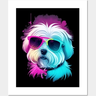 Cool Maltese Dog with Sunglasses Posters and Art